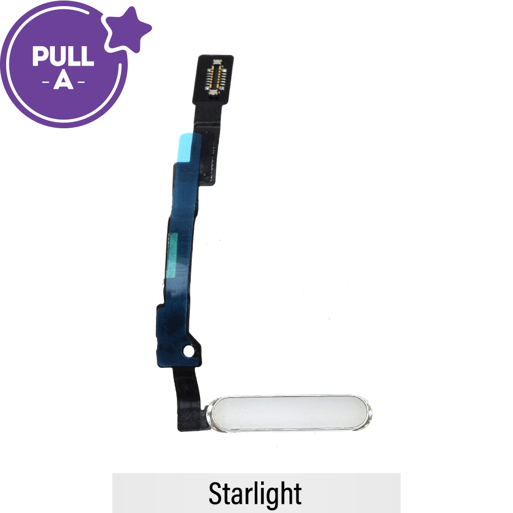 Home Button with Flex Cable for iPad mini 6 / mini 7 (PULL-A)-Starlight