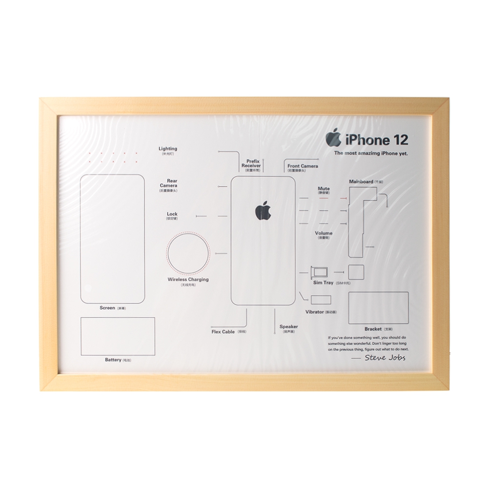 iPhone Disassemble Specimen Collection Decorative Frame DIY Kits-iPhone 12
