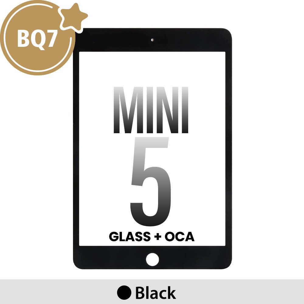 Front Screen Outer Glass With OCA for iPad mini 5 (2019) (BQ7)-Black